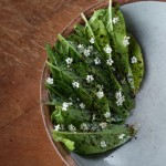 Plat de Sureau, épinard, épeautre et engrais vert Restaurant Alchémille Jérôme Jaegle